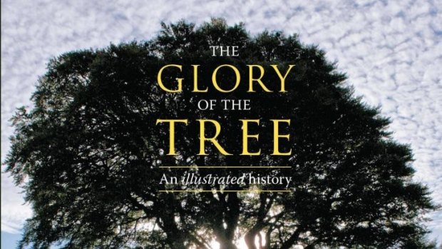 Knowledgable: <i>The Glory of the Tree</i>. 
