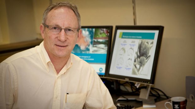 CSIRO Professor Peter Walker is concerned with the global biosecurity threat mosquito-borne viruses, such as dengue, pose to human health.  THE AGE . property . 22 OCTOBER 2012 . pic from CSIRO . story by Bridie Smith .