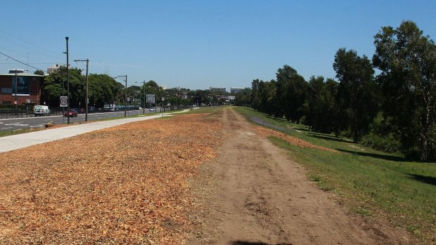 The barren land on Alison Road in Randwick where trees have been cut to make way for the light rail.