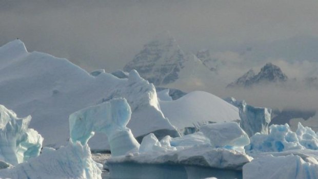 Rapid melting on the Antarctic Peninsula.