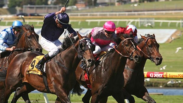 Craig Wlliams (centre, in pink) wins the Sandown Guineas on So Swift last year.