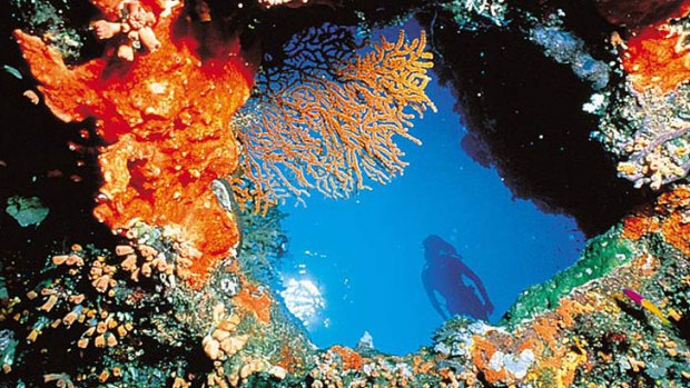 The government has promised $137 million for the Great Barrier Reef.
