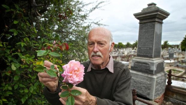 Rosarian Geoff Crowhurst with a heritage tea rose in the Coburg cemetery.