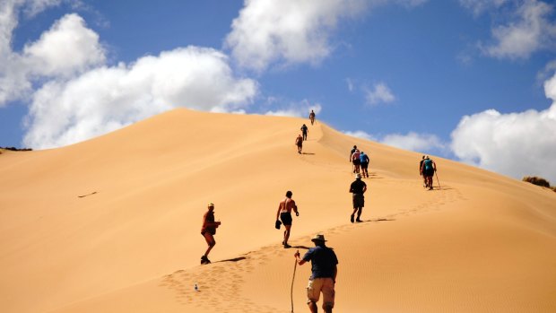 Snake-free: Traversing the sandhills. 