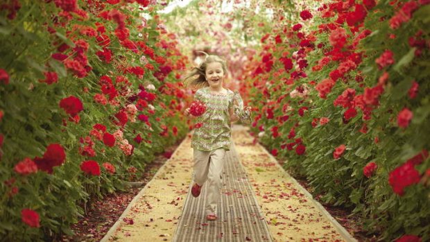 Princess Elisabeth of Belgium in the Royal Greenhouses, Brussels.