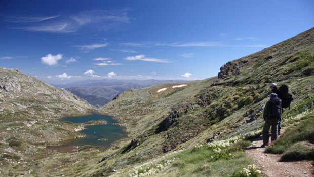 View from the top ... overlooking Lake Albina.