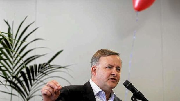 Labor leadership candidate Anthony Albanese, whose pitch is based on party unity.