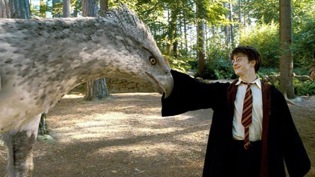 Harry Potter with a hippogriff called Buckbeak.