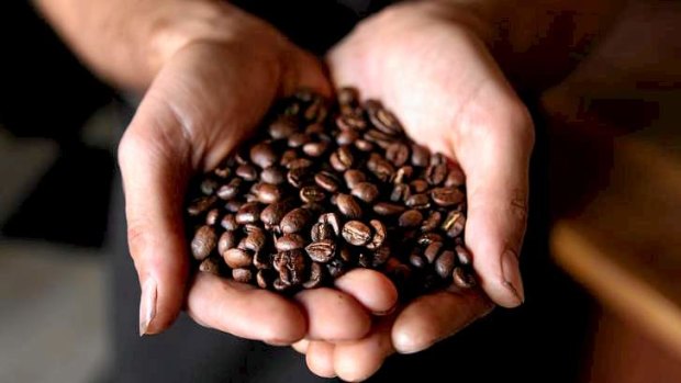 Griffith University researchers are looking at the links between coffee and weight loss.