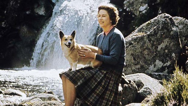 Royal pooch ... an official photo taken at Balmoral for the Silver Wedding celebrations in 1972.