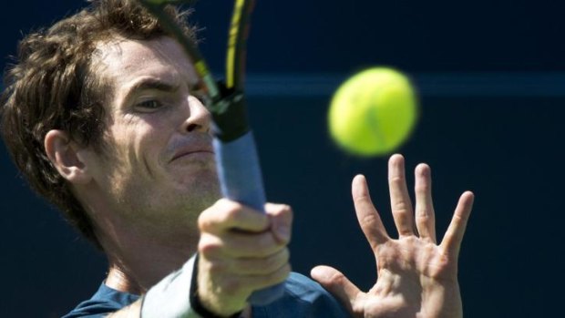 On song: Andy Murray was devastating in his return to tennis.