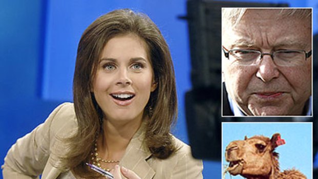 Erin Burnett is unhappy with Kevin Rudd's 'air strikes' on feral camels.