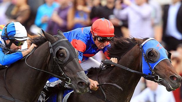 One to beat: Nash Rawiller urges superstar Pierro to victory in the George Ryder.