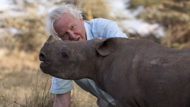 David Attenborough in his nature series <i>Africa</i>.