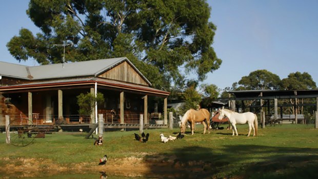 Farm with charm ... the animals play a key role in the Tobruk experience.