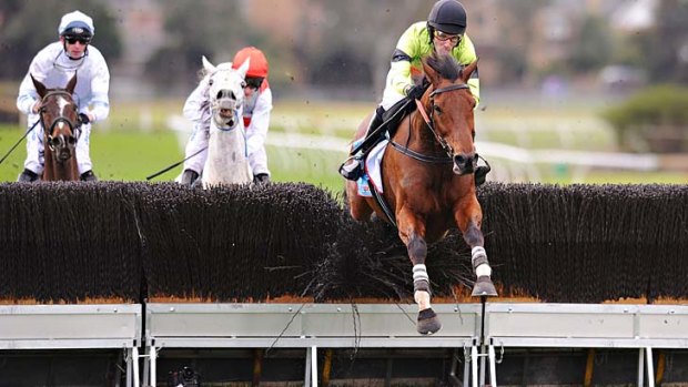 Up and over: Bashboy clears the last fence in the National.