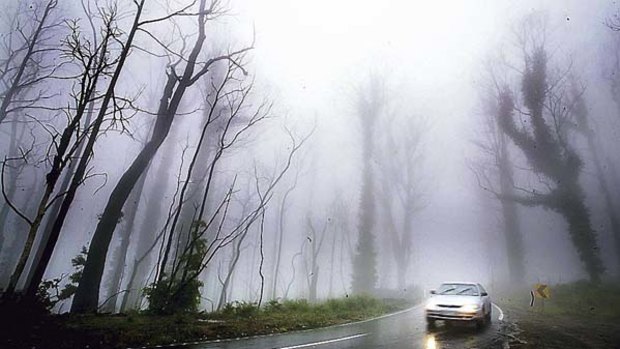 Out of the gloom ... the hardest-hit areas, such as Kinglake, need visitors.