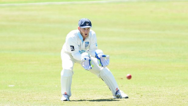 Peter Nevill during the Sheffield Shield.