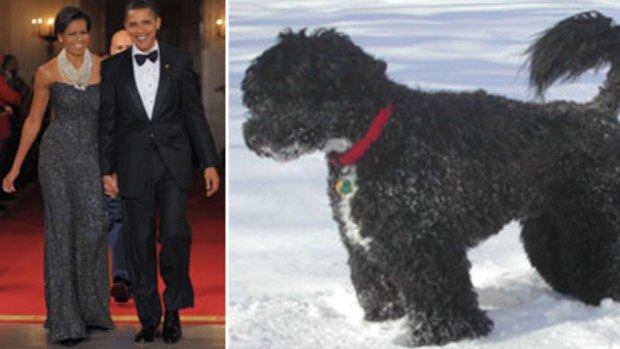 Barack and Michelle Obama choose their first pooch, a Portugese water dog.