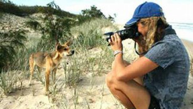 A picture of dingo crusader Jennifer Parkhurst from her 'Fraser Island Footprints' website.