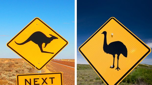 What do the two animals on Australia's coat of arms have in common?
