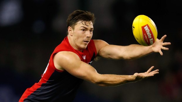 Michael Hibberd is in career best form at the Demons so far in 2017. 
