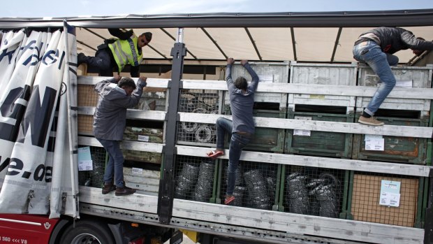 Migrants jump out of a truck after being discovered by French police as they attempted to cross the English Channel on Wednesday.