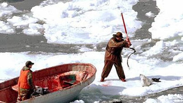 A hunter takes aim at a seal while another watches from a small boat during the 2006 seal hunt in Canada's Gulf of St. Lawrence.