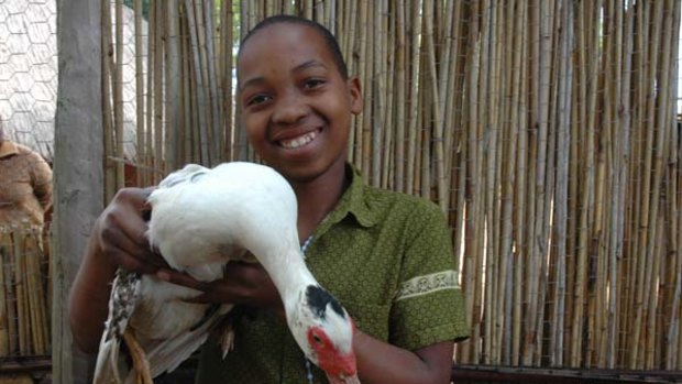 Feeling clucky ... Oxfam is offering ducks, pigs and poo as gifts to help people in developing countries.