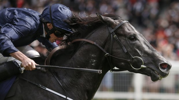 Unbeaten: Ryan Moore rides Caravaggio to win The Commonwealth Cup at Royal Ascot this month.