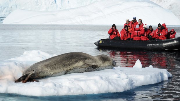 Wildlife: Ponant Le Soleal passengers take to a Zodiac for a seal-spotting cruise.