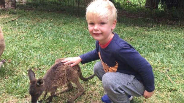 Sam has made a friend at the Alpaca Farm.