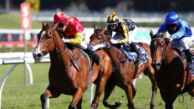 Signed, sealed, delivered: First Seal stuns rivals in the Tea Rose on Saturday.
