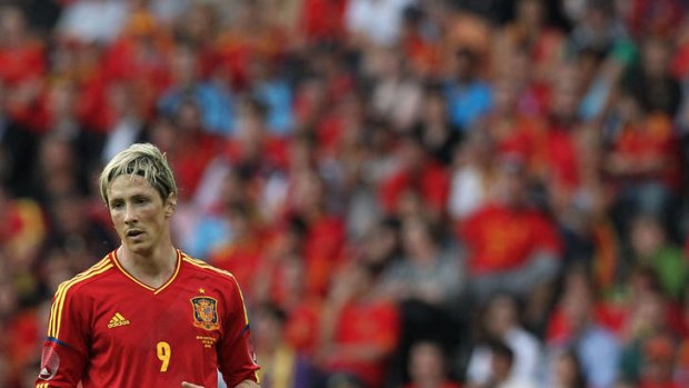Spain's Fernando Torres.