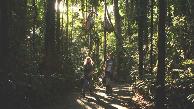 Scientists Cassandra Nichols and Lilita Simpson from James Cook University walk through the forest on their way to study the effects of climate change on the Daintree Rainforest at the Australian Canopy Crane Research Station on August 7, 2009 in Cape Tribulation.