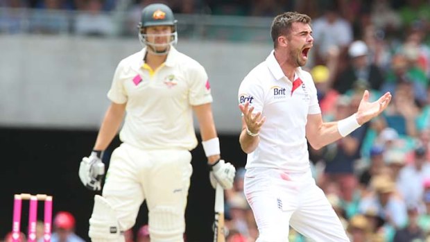 James Anderson successfully appeals for the wicket Shane Watson.
