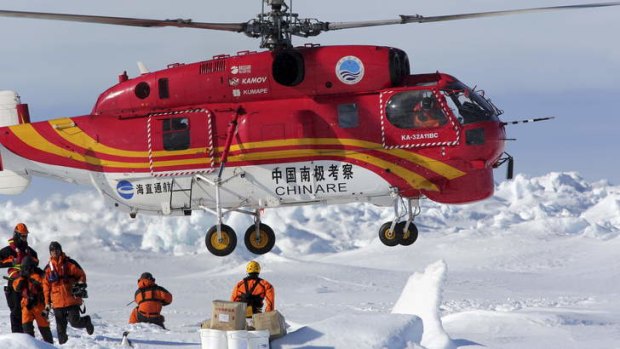 What's going on here? An Adelie penguin (bottom of frame) is curious as the helicopter lands on a floe.