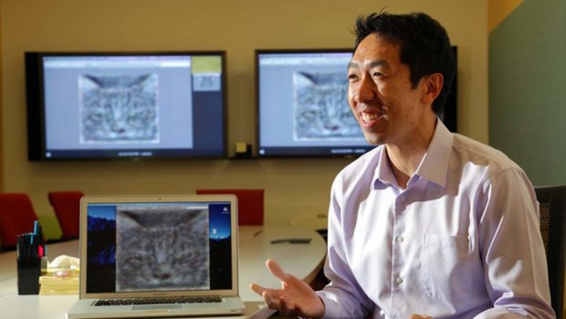 Stanford computer scientist Andrew Ng next to an image of a cat that a neural network taught itself to recognise.