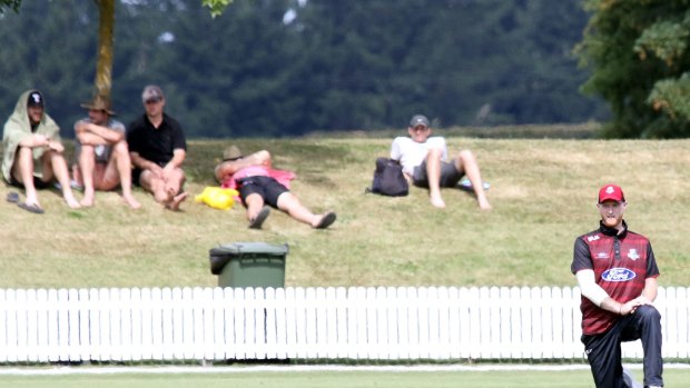 Lounging around: New Zealand's one-day competition doesn't attract huge numbers.