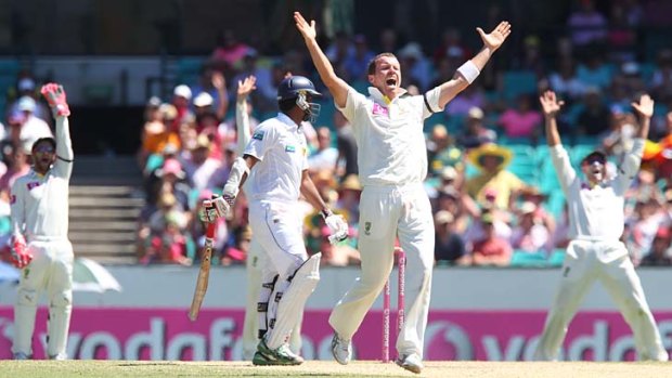 Pace ace: Peter Siddle says fast bowling will be key.