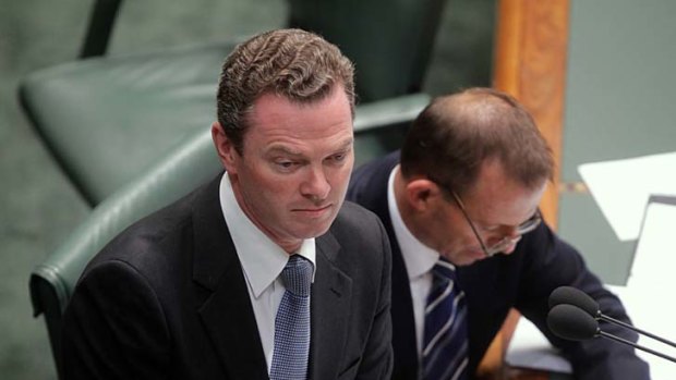 Calling someone a climate change denier is akin to calling them a Holocaust denier,  according to Christopher Pyne.