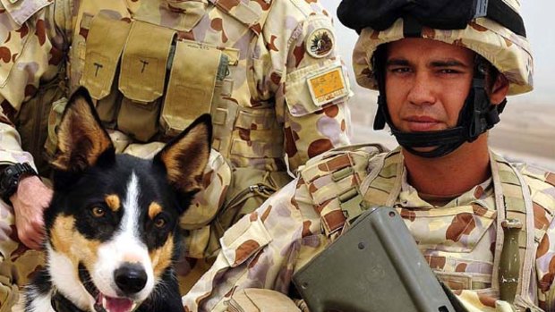 A duo lost ... Sapper Darren Smith  with Herbie, a bomb-detecting dog, at the base in Tarin Kowt. The dog also died on Monday.