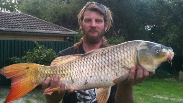 Clay Anderson with the giant carp caught in a man-made lake in Thornlie.