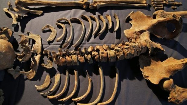 Clues to Black Death: One of 25 skeletons found by construction workers under central London's Charterhouse Square.