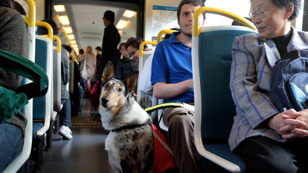 Eran Picker with his dog, Spot, an autism assistance dog, is one of many public transport users who now have easier access to the assistance animal pass.