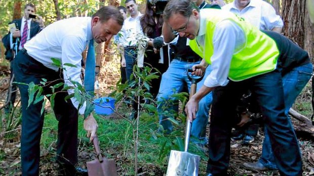Tony Abbott and Greg Hunt plant trees in Sydney.
