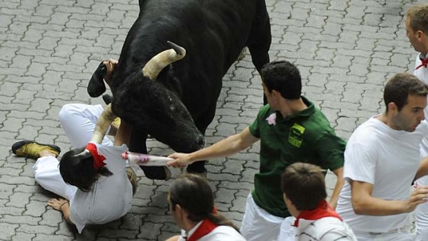 Close call ... a bull nearly gores a man.