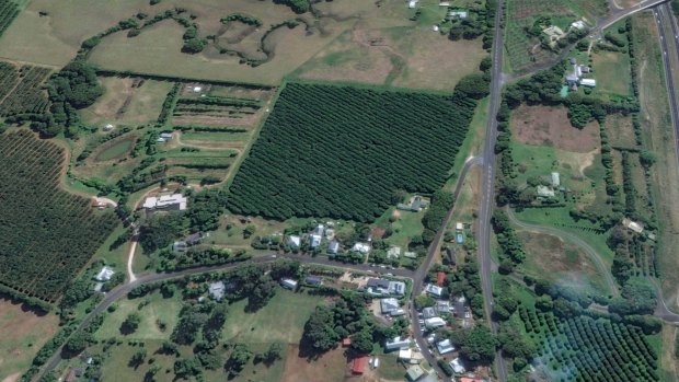 Google Maps view showing the macadamia farm bought by interests linked to John Ibrahim on the edge of Newrybar.
