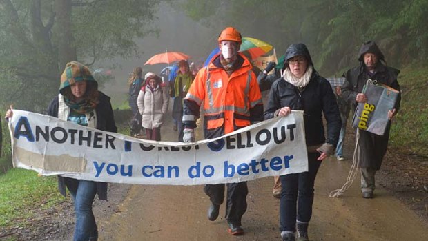 Braving yesterday's bracing weather, locals protest against logging at Mount St Leonard, near Healesville.