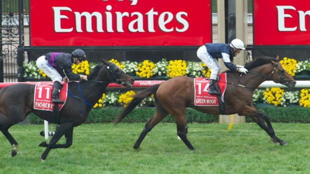 Green Moon Rising .... the winner of the 2012 Melbourne Cup.